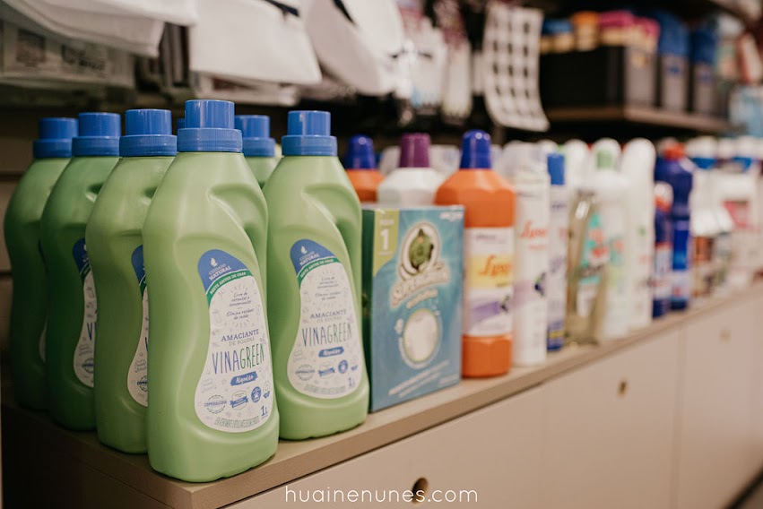 Aulona de Limpeza Doméstica Moderna 